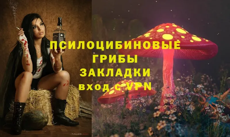 Галлюциногенные грибы Magic Shrooms  Гремячинск 